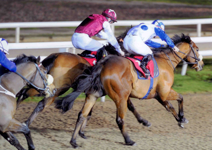 Azurite Dundalk 27th Nov 2013